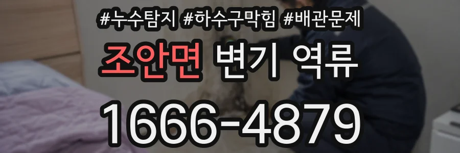 조안면 변기 역류
