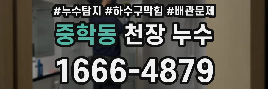 중학동 천장 누수