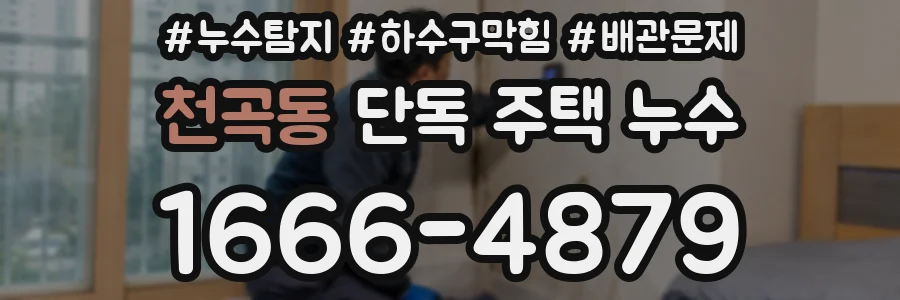 천곡동 단독 주택 누수
