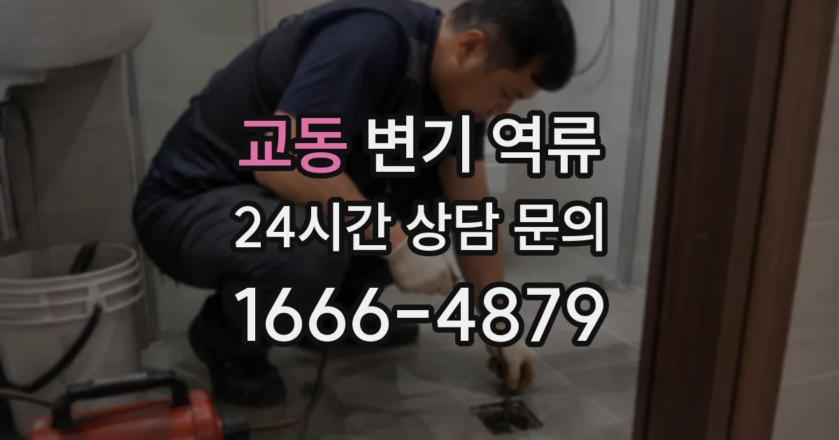교동 변기 역류