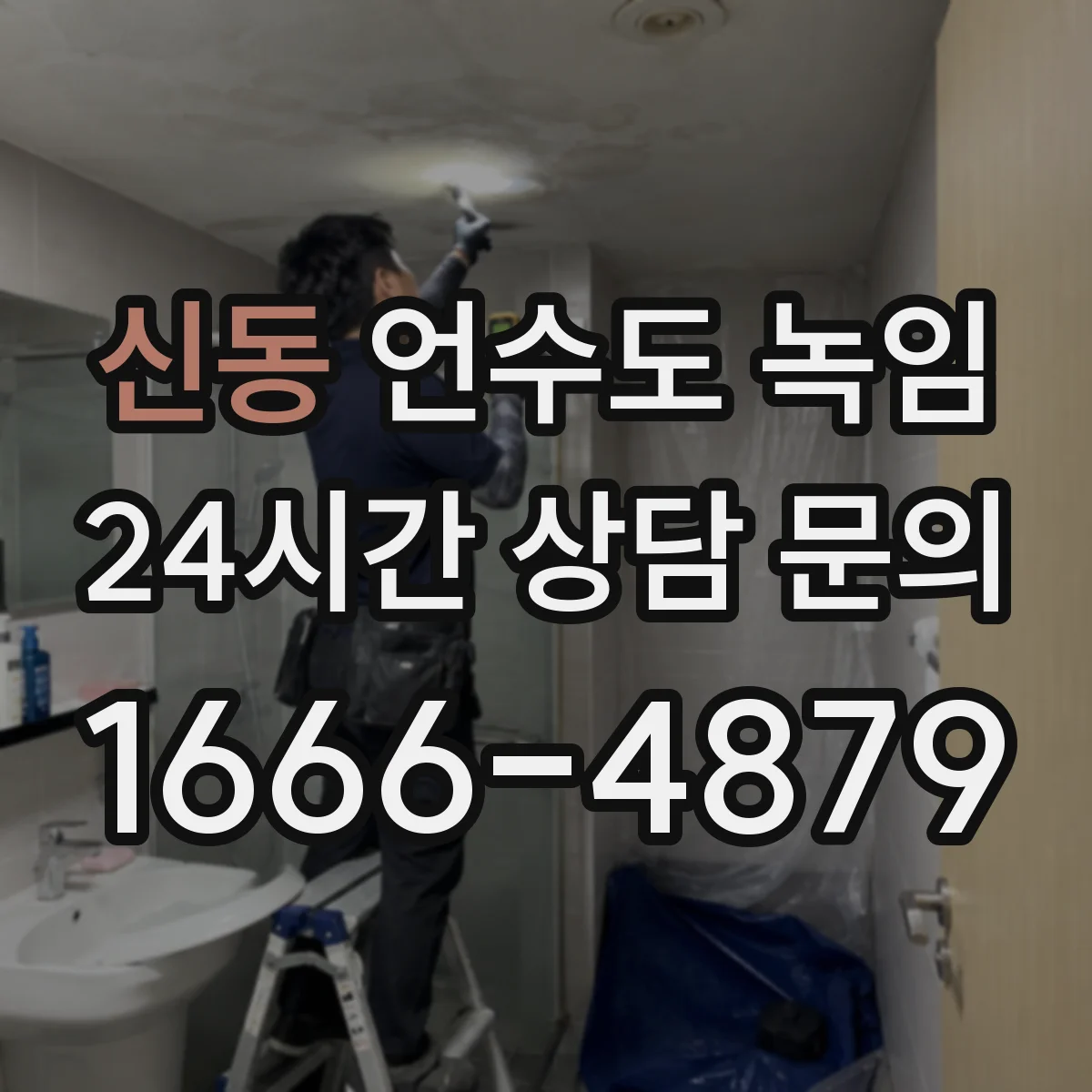 신동 언수도 녹임