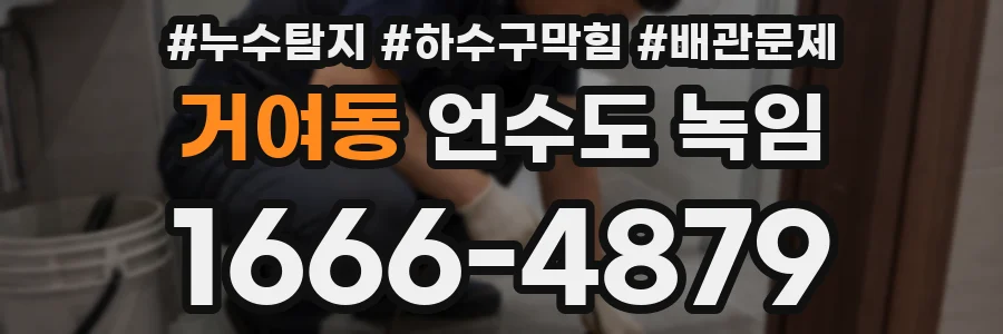 거여동 언수도 녹임