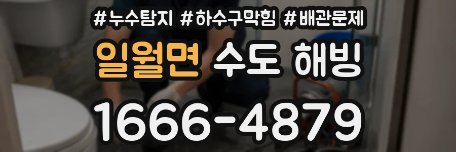 일월면 수도 해빙