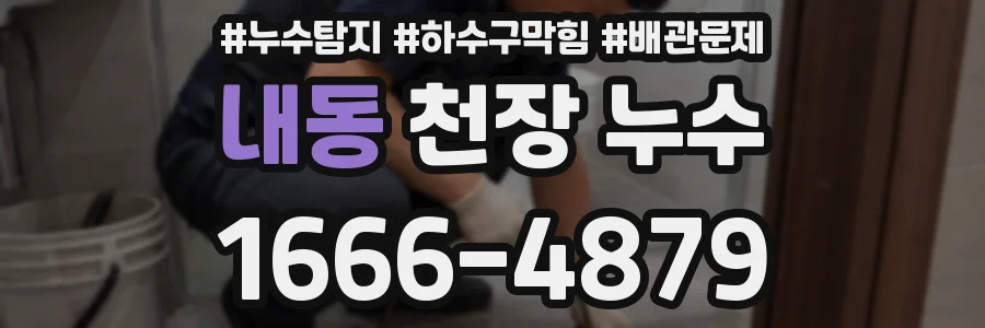 내동 천장 누수