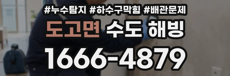 도고면 수도 해빙