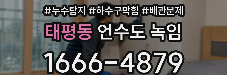 태평동 언수도 녹임