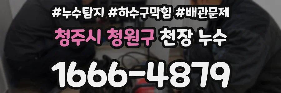 청주시 청원구 천장 누수