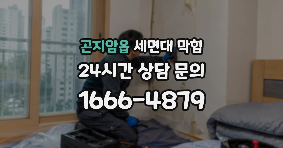 곤지암읍 세면대 막힘