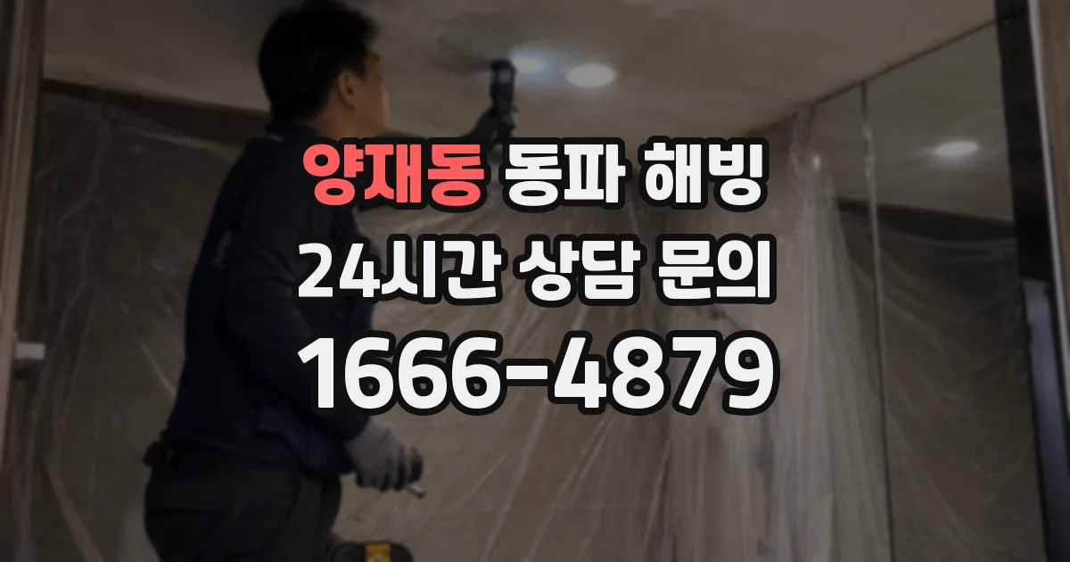 양재동 동파 해빙