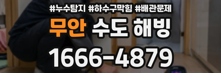 무안 수도 해빙