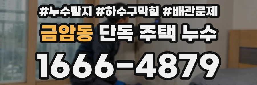 금암동 단독 주택 누수