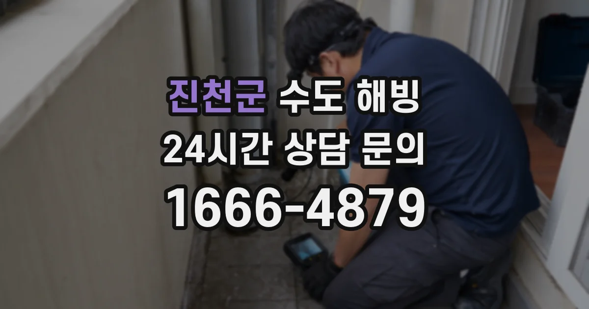 진천군 수도 해빙