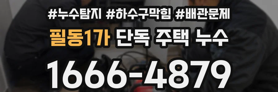 필동1가 단독 주택 누수