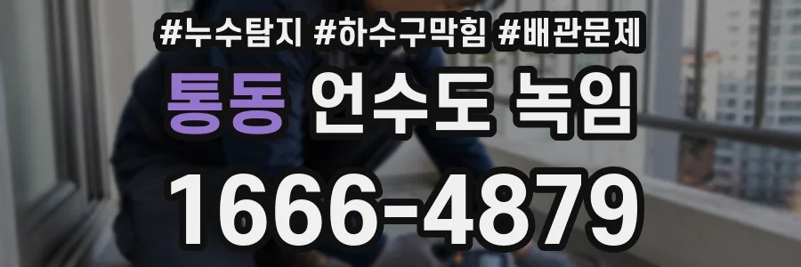통동 언수도 녹임