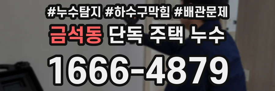 금석동 단독 주택 누수