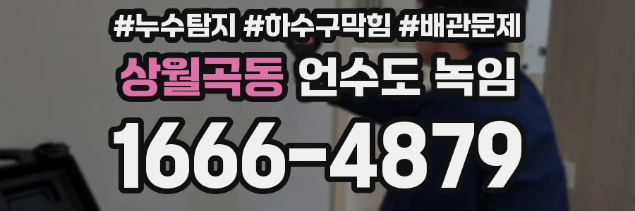 상월곡동 언수도 녹임