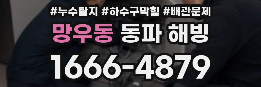 망우동 동파 해빙