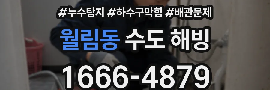 월림동 수도 해빙
