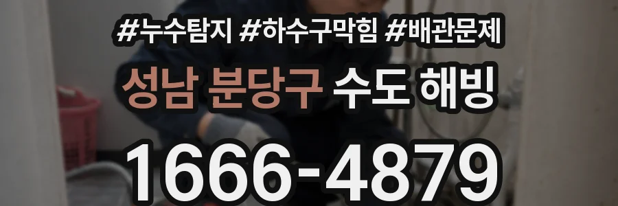 성남 분당구 수도 해빙