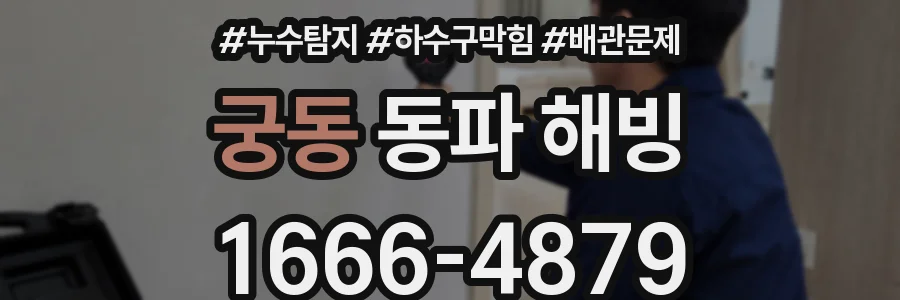 궁동 동파 해빙