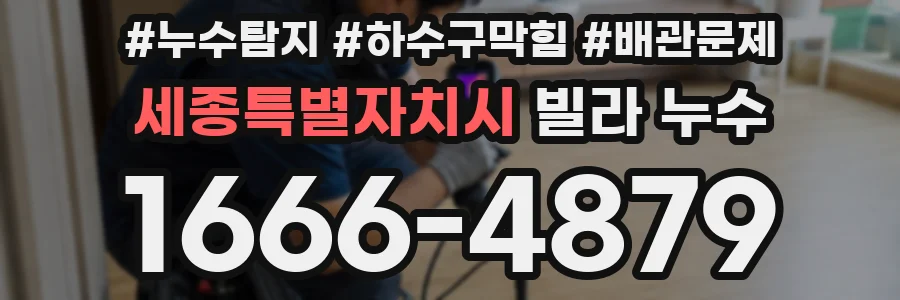 세종특별자치시 빌라 누수