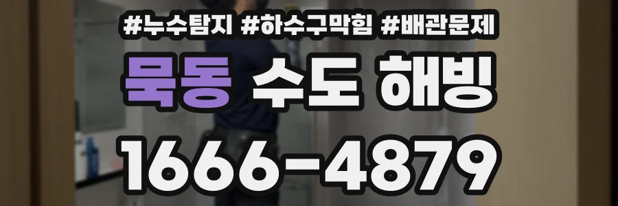 묵동 수도 해빙