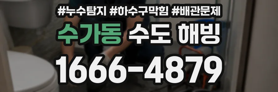 수가동 수도 해빙