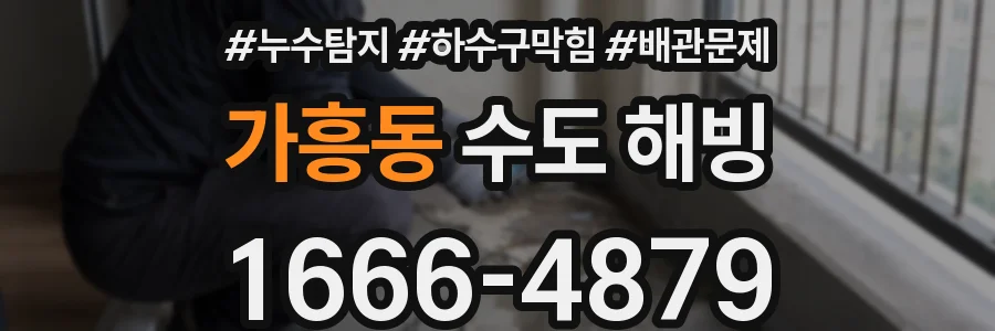 가흥동 수도 해빙