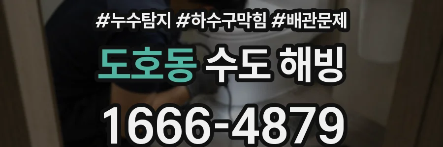 도호동 수도 해빙