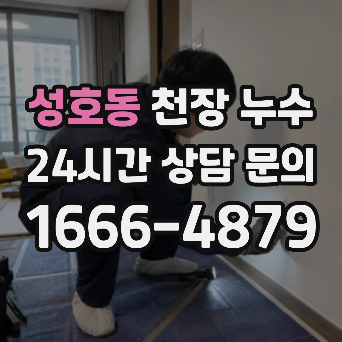 성호동 천장 누수