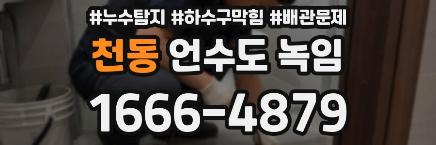 천동 언수도 녹임