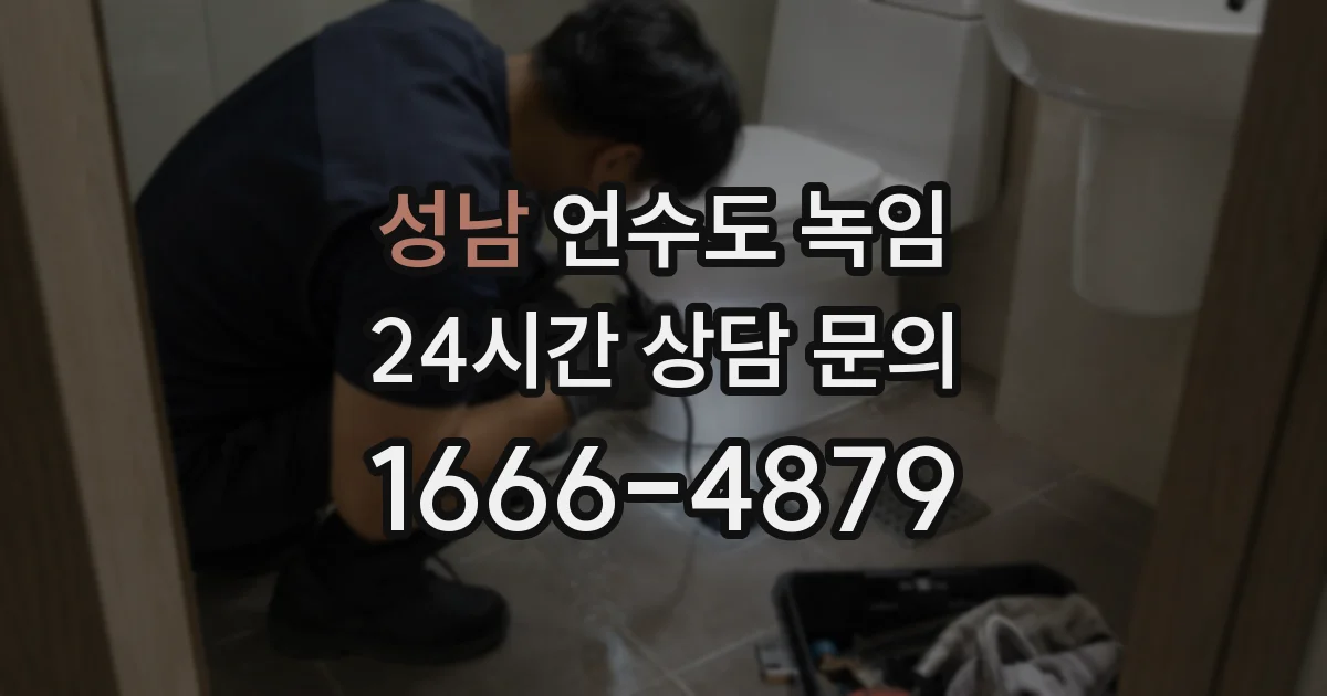 성남 언수도 녹임