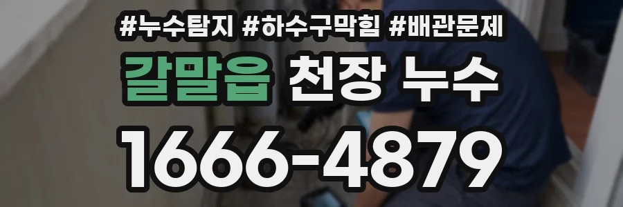 갈말읍 천장 누수