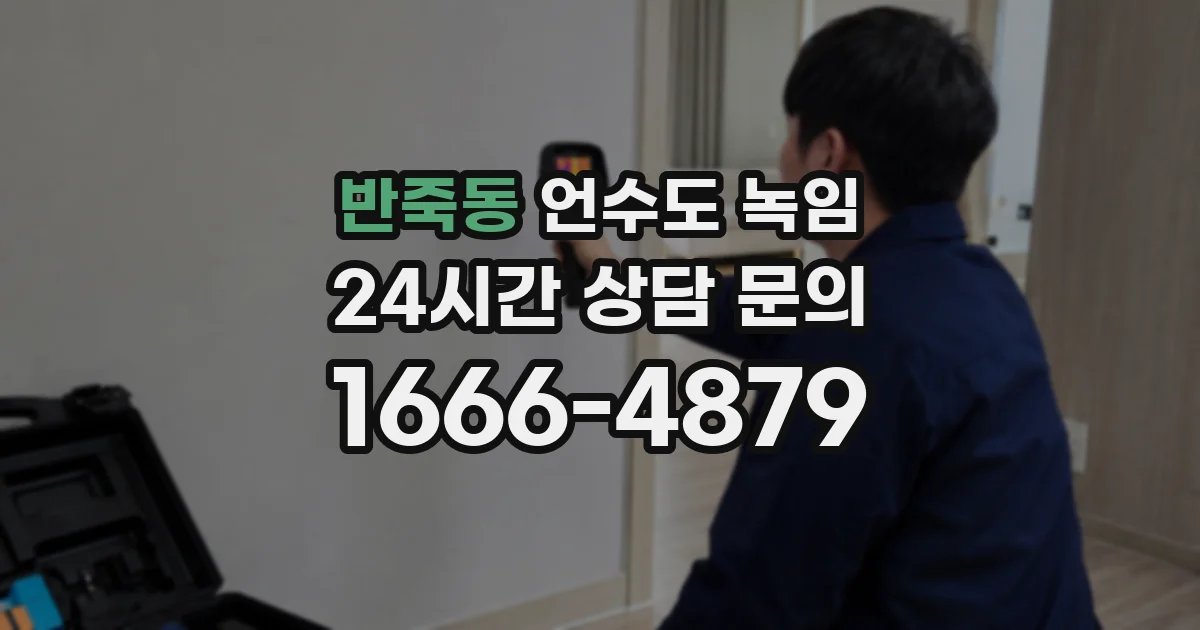 반죽동 언수도 녹임