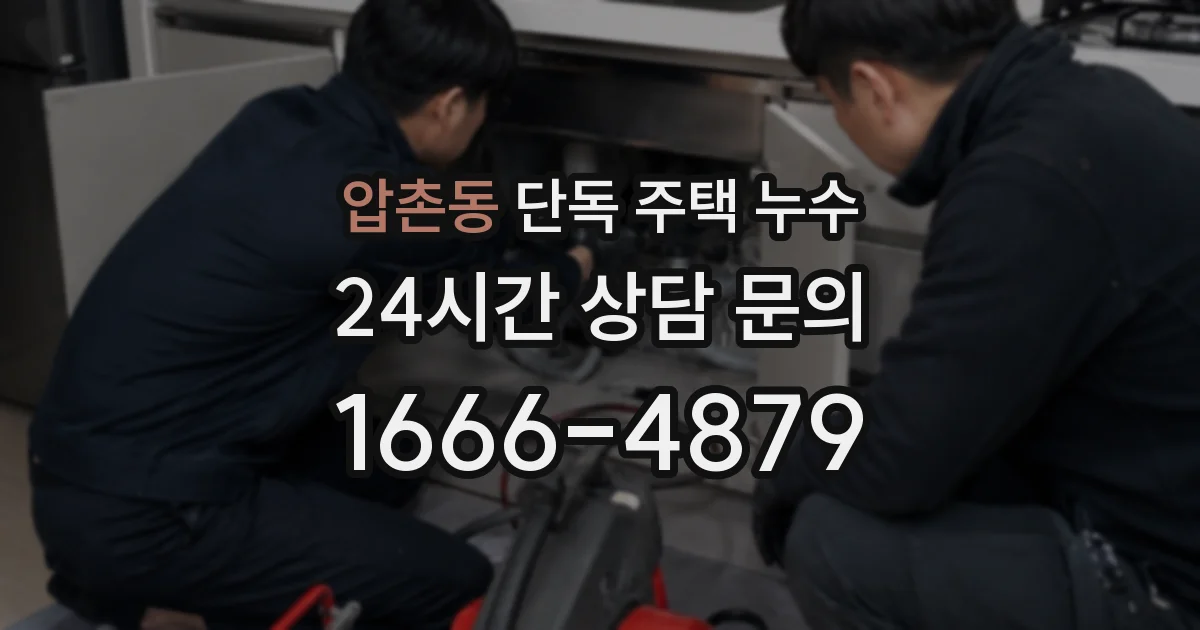 압촌동 단독 주택 누수