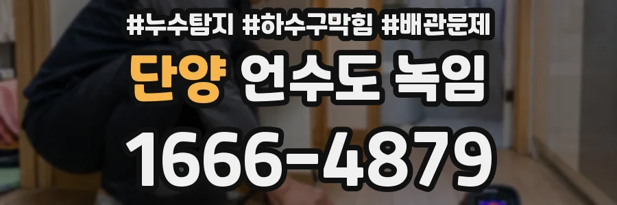 단양 언수도 녹임