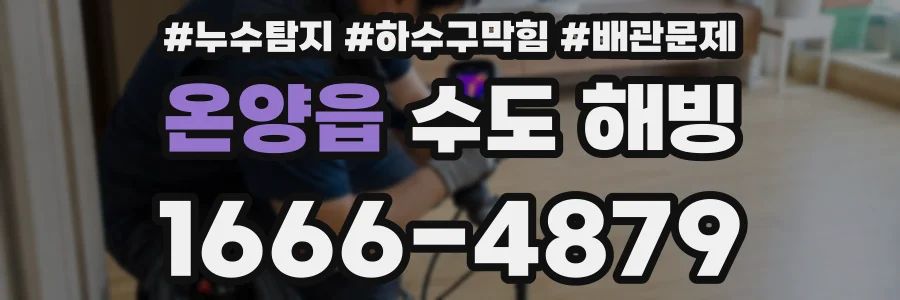 온양읍 수도 해빙