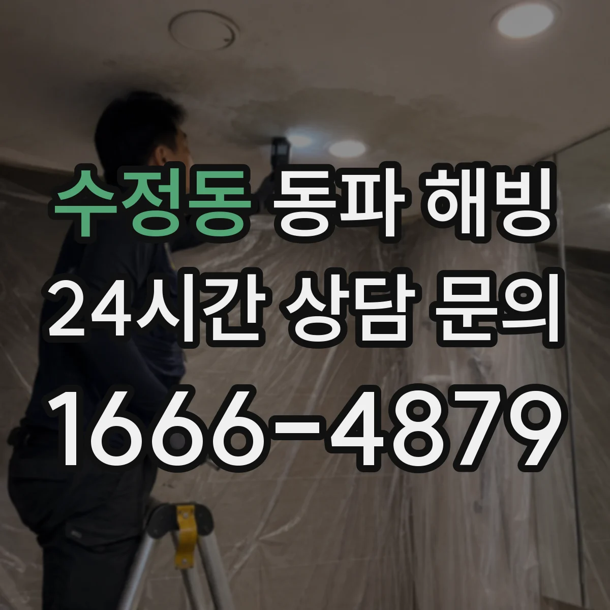 수정동 동파 해빙