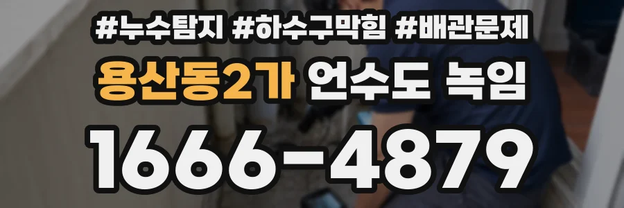 용산동2가 언수도 녹임