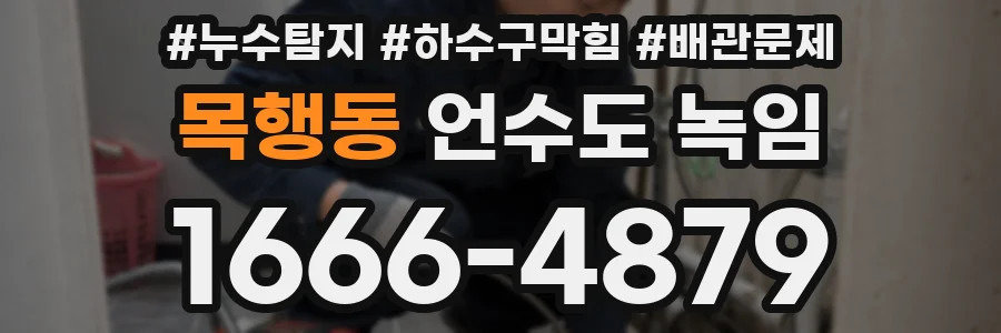 목행동 언수도 녹임
