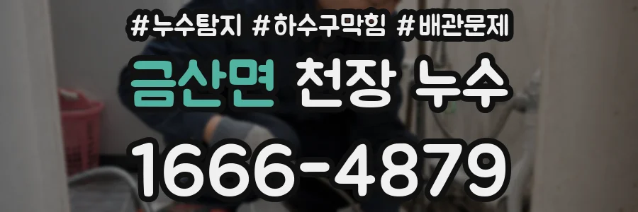 금산면 천장 누수