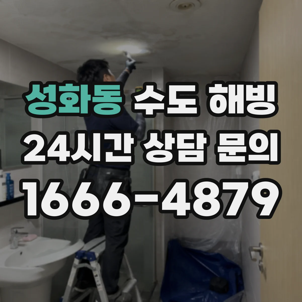 성화동 수도 해빙