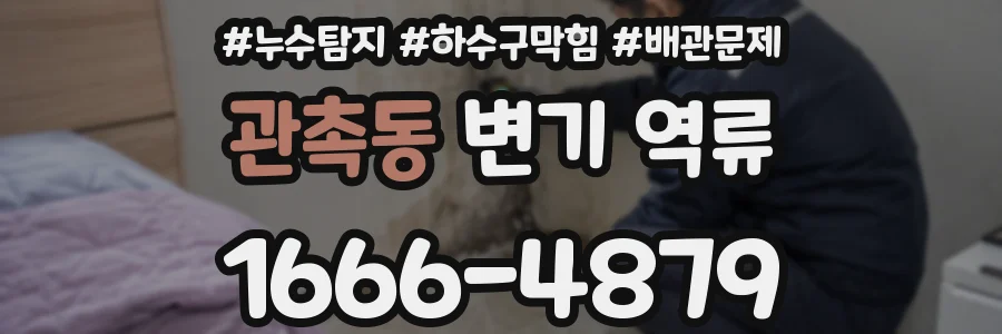 관촉동 변기 역류