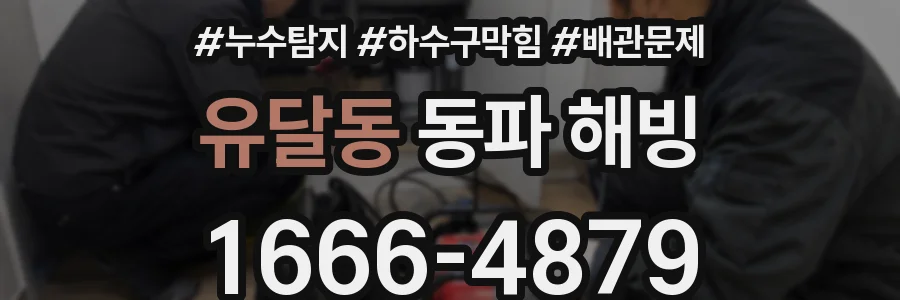 유달동 동파 해빙