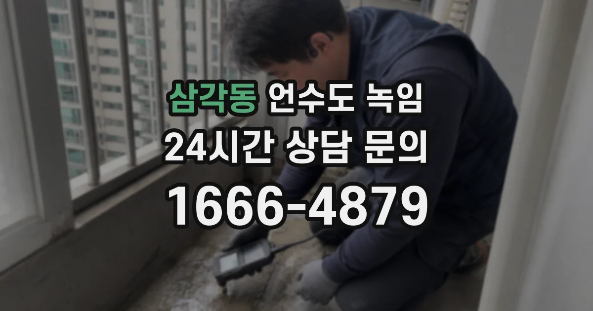 삼각동 언수도 녹임