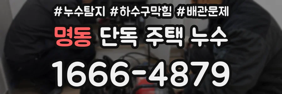 명동 단독 주택 누수