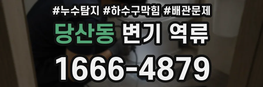 당산동 변기 역류