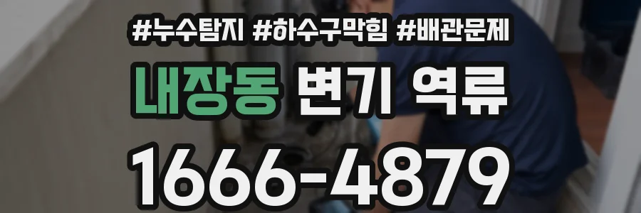 내장동 변기 역류