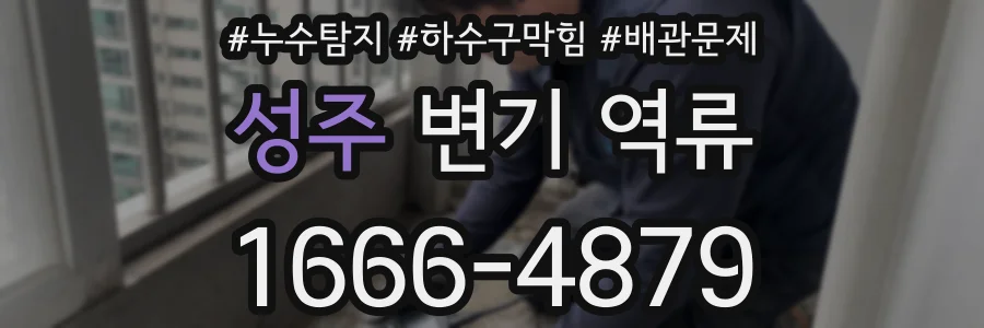 성주 변기 역류