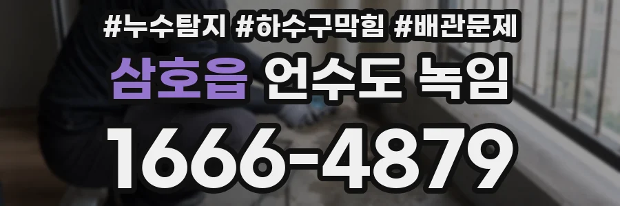 삼호읍 언수도 녹임